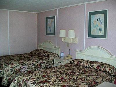 Royal Inn Ламбертон Номер фото
